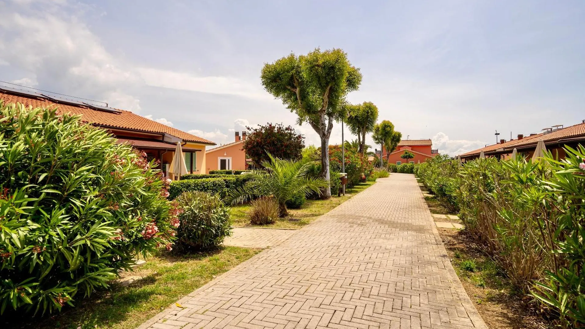 アパートホテル Isa-Residence With Swimming Pool In Mazzanta At Only 600 Meters From The Beach, Apartments With Air Conditioning And Private Outdoor Area